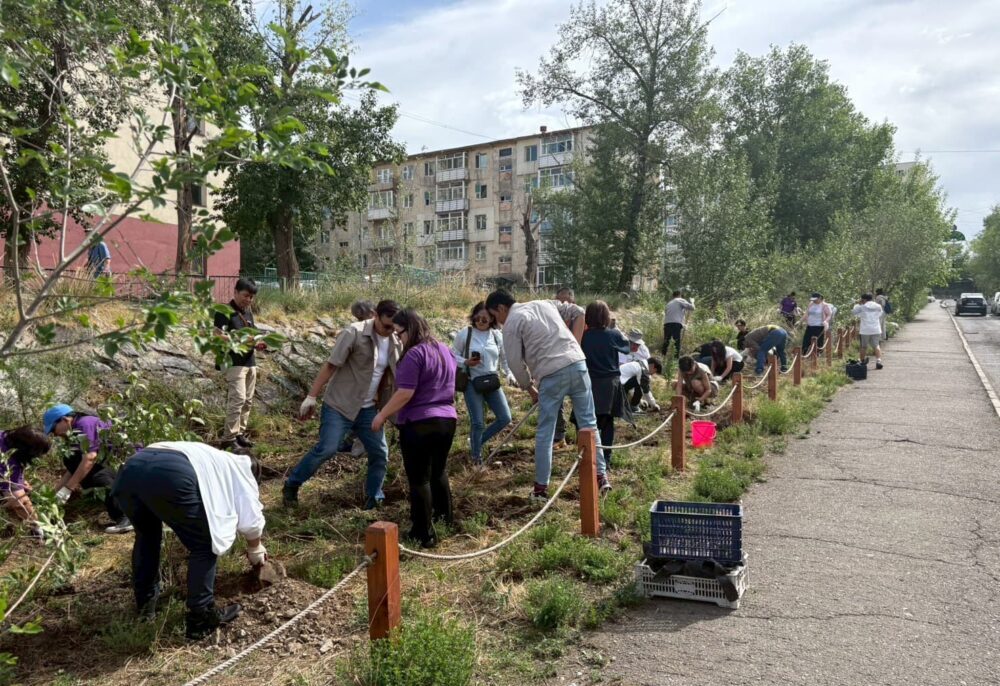 第1回 モンゴル植林ツアーのご報告(2025年7月2日~7月7日)
